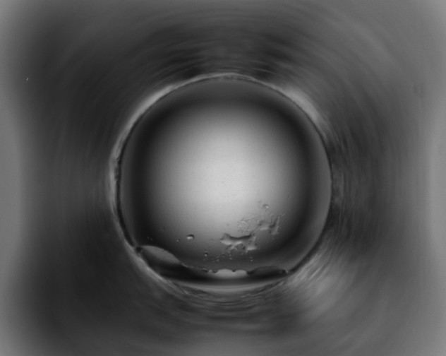 X0000092281151200709211151