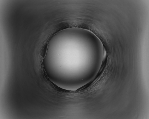 X0000092281153200709211150