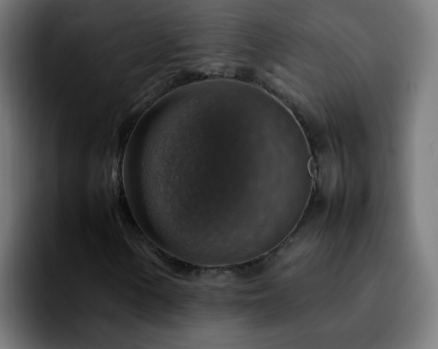 X0000092281154200709211150