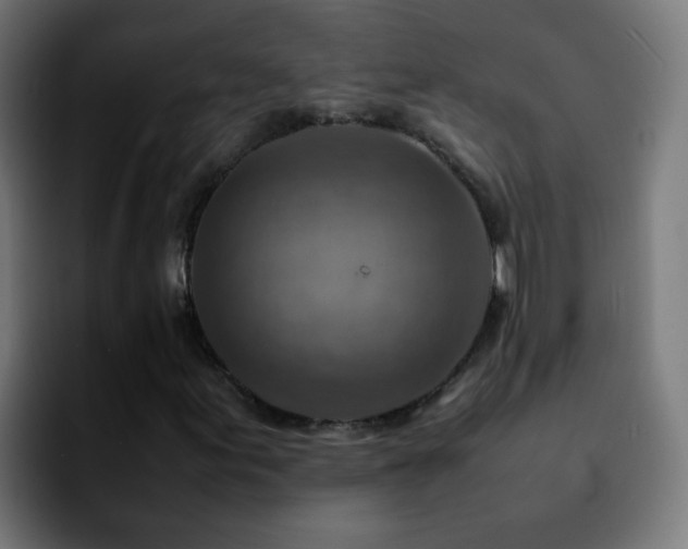 X0000092281155200709211150