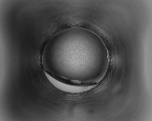 X0000092281156200709211150