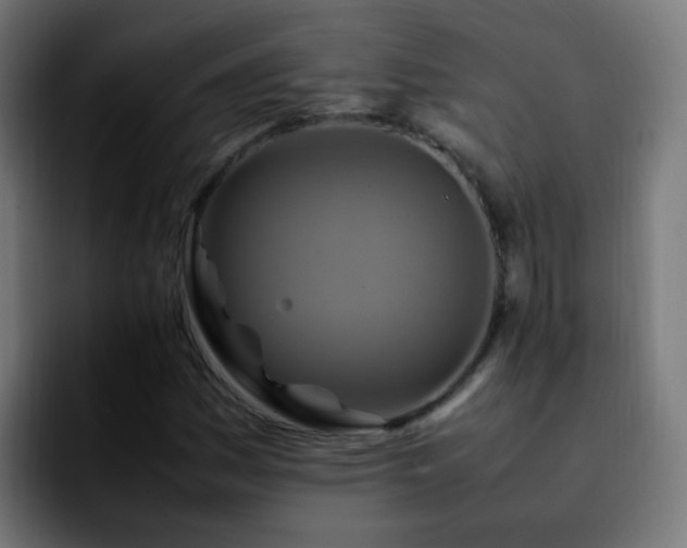 X0000092281161200709211150