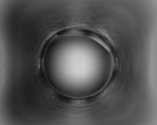 X0000092281165200709211150