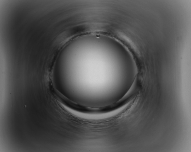 X0000092281169200709211150