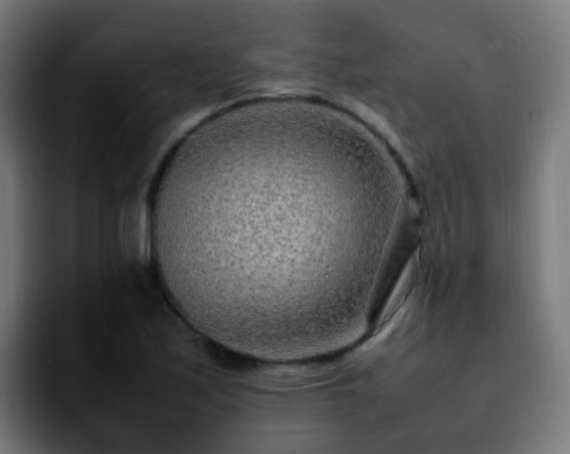 X0000092281171200709211150