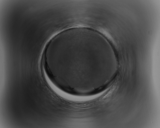 X0000092281173200709211150