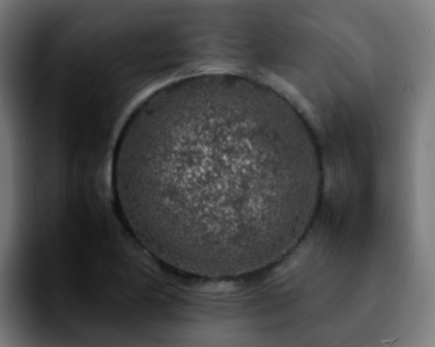 X0000092281174200709211150