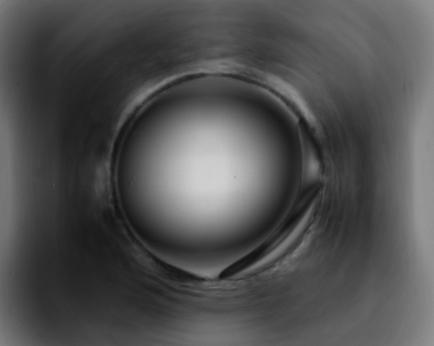 X0000092281176200709211150