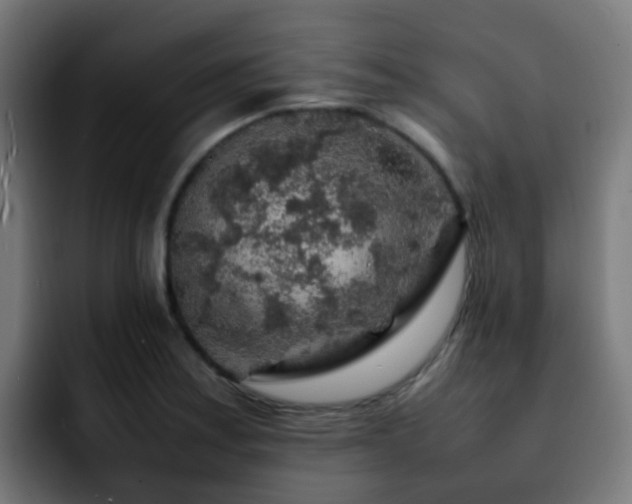 X0000092281179200709211150