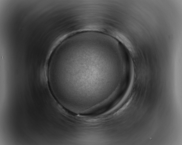 X0000092281180200709211150