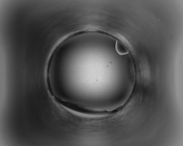 X0000092281183200709211150