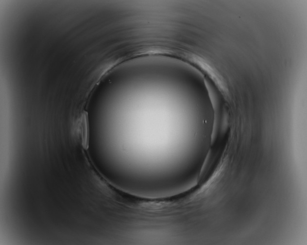 X0000092281185200709211150