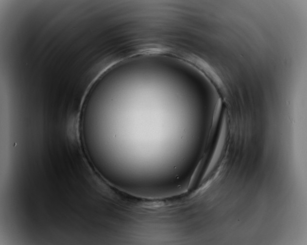 X0000092281186200709211150