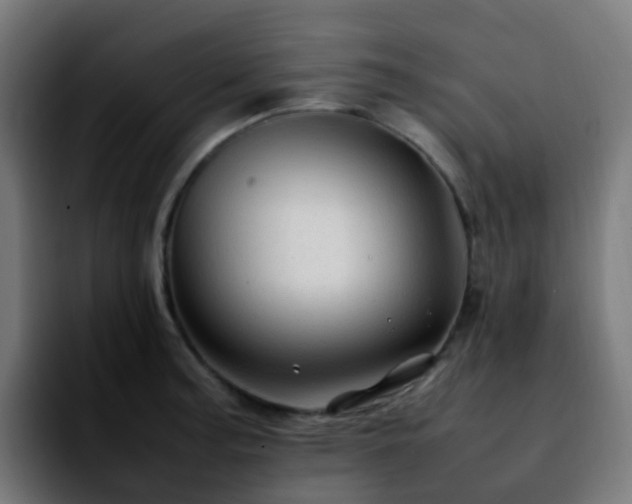 X0000092281187200709211150