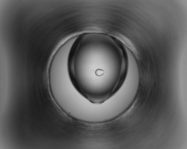 X0000092281192200709211150