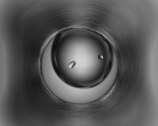 X0000092281196200709211150