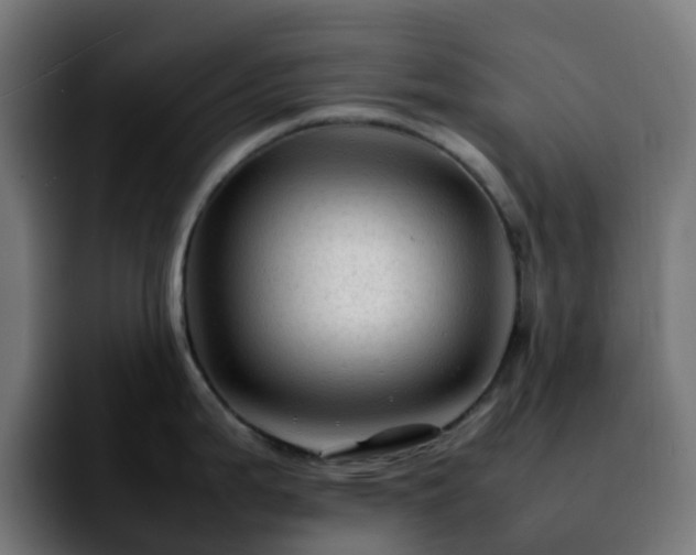 X0000092281199200709211150