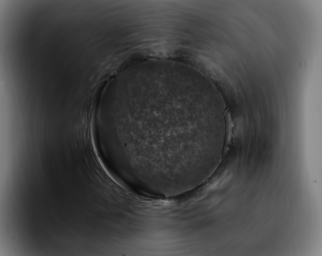 X0000092281202200709211149