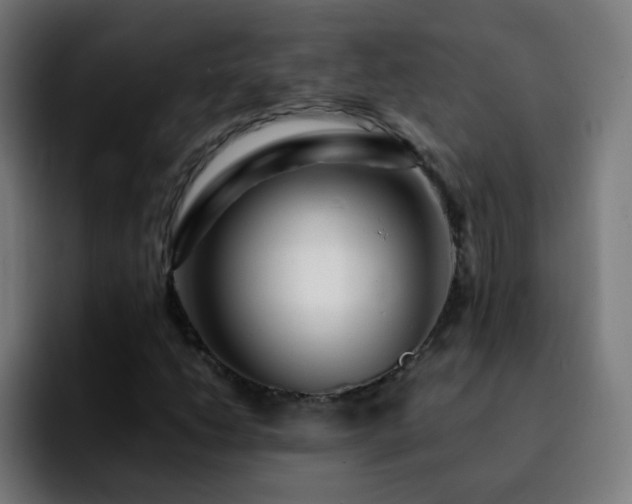 X0000092281206200709211149