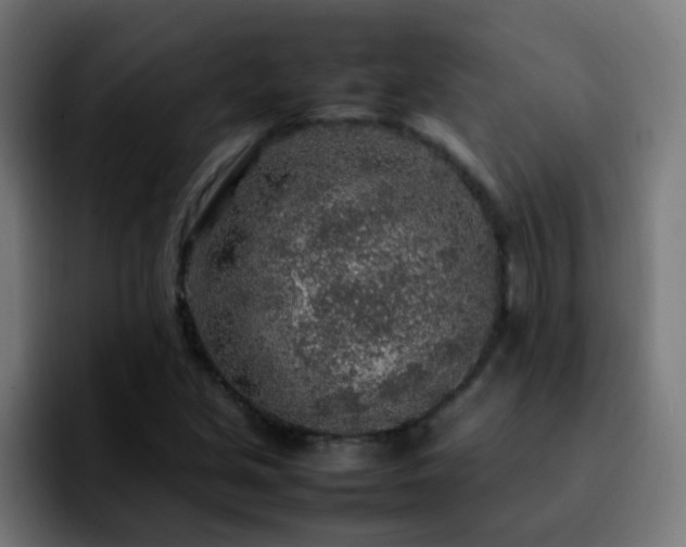 X0000092281213200709211149