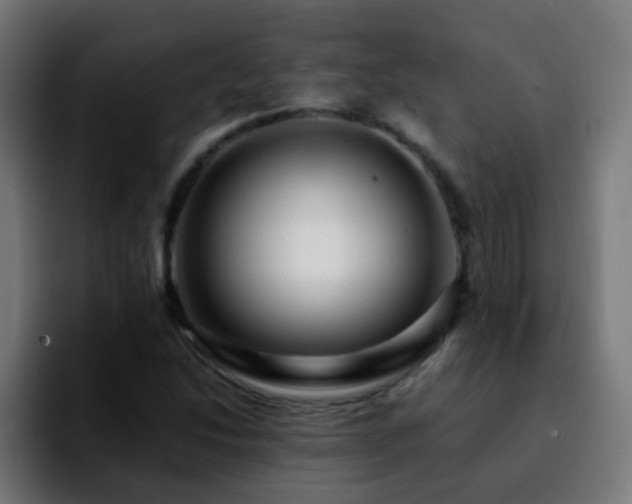 X0000092281214200709211149