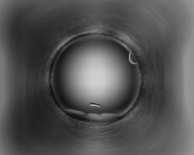 X0000092281216200709211149