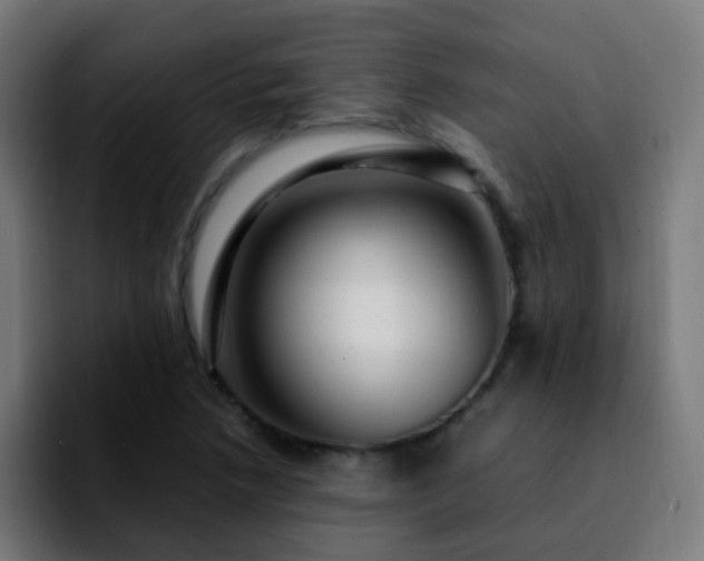 X0000092281218200709211149