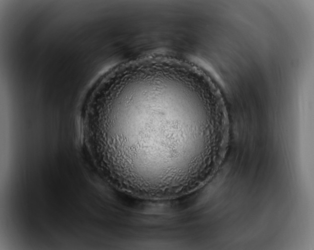 X0000092281219200709211149