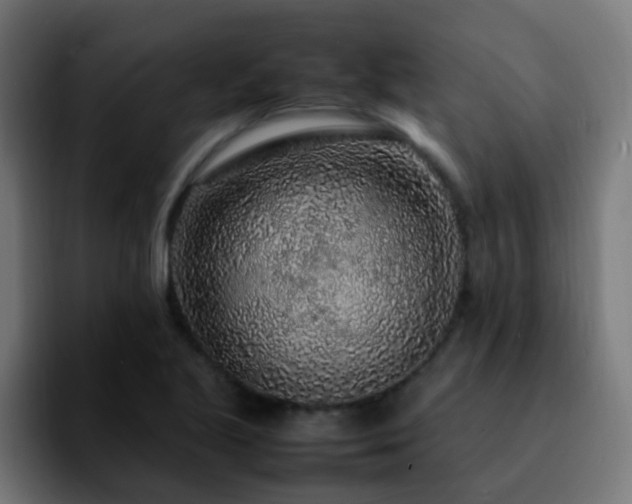 X0000092281221200709211149