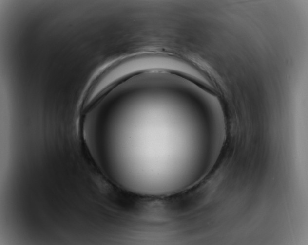 X0000092281222200709211149