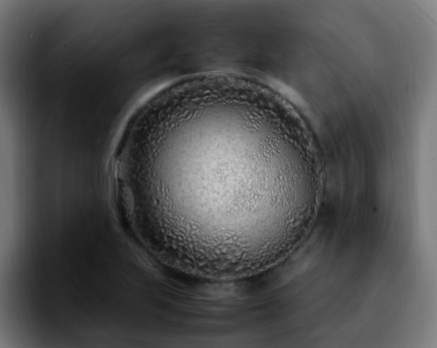 X0000092281223200709211149