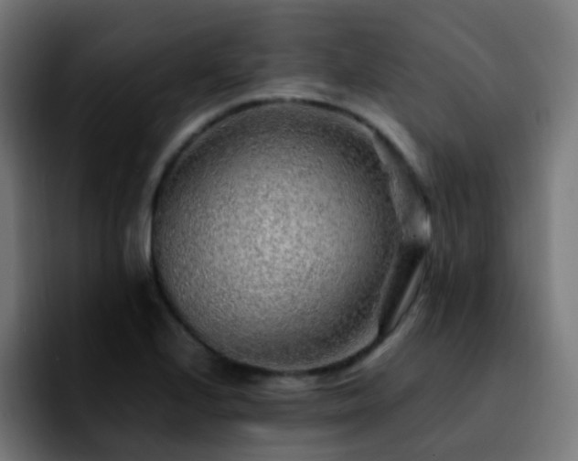 X0000092281224200709211149