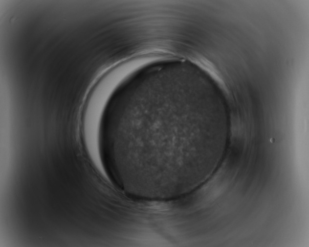 X0000092281226200709211149