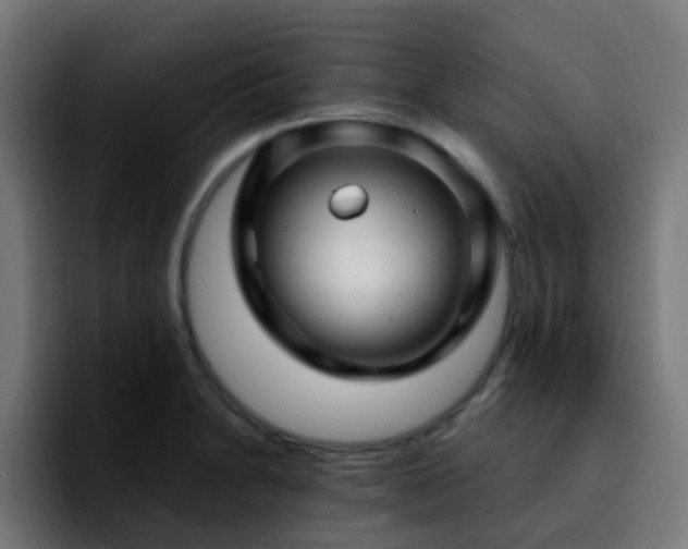 X0000092281230200709211149