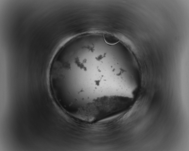 X0000092281231200709211149