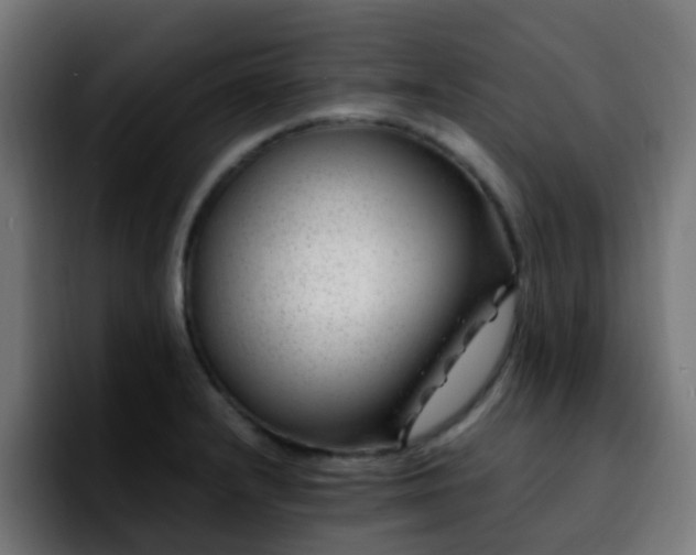 X0000092281232200709211149