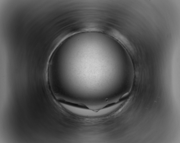 X0000092281236200709211149