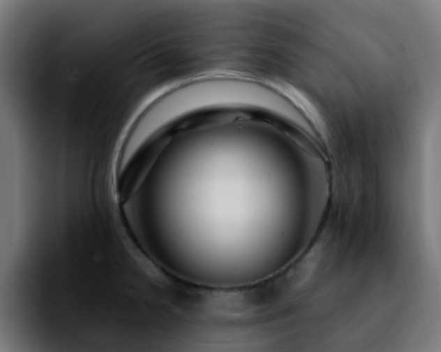 X0000092281238200709211150