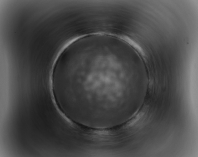 X0000092281239200709211150