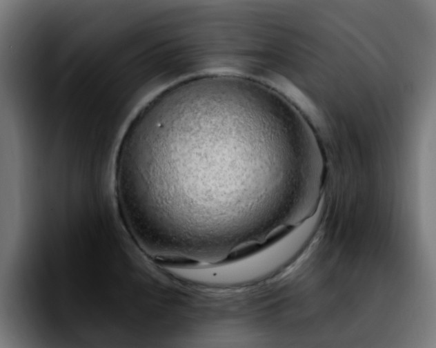 X0000092281240200709211150