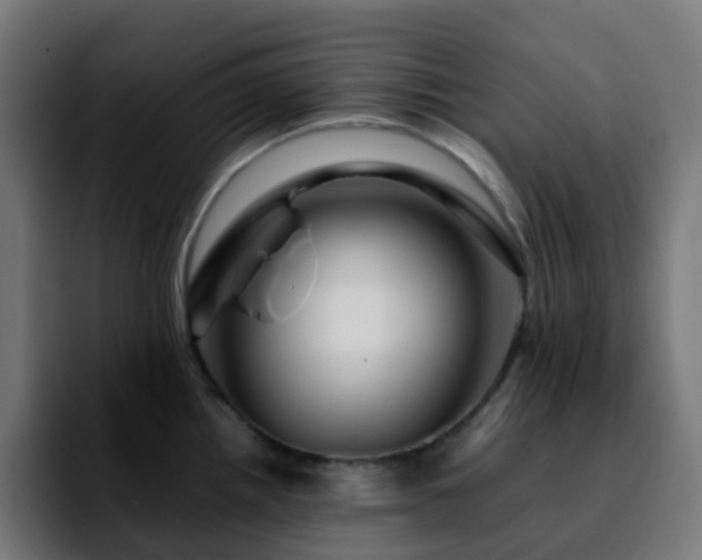 X0000092281242200709211150