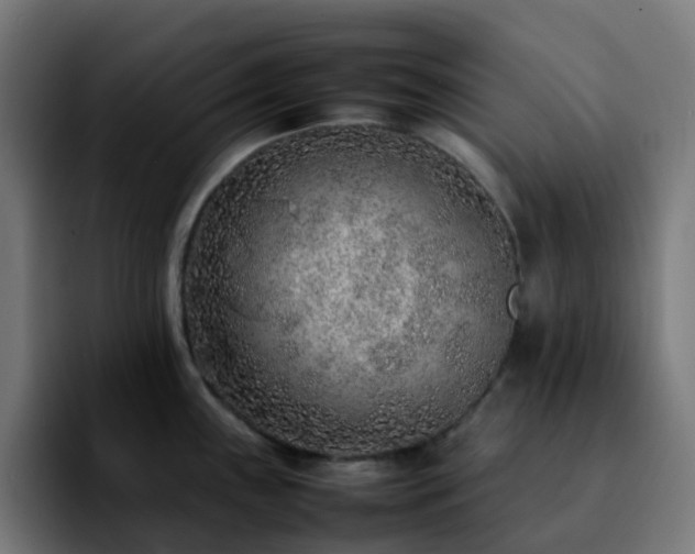 X0000092281243200709211150