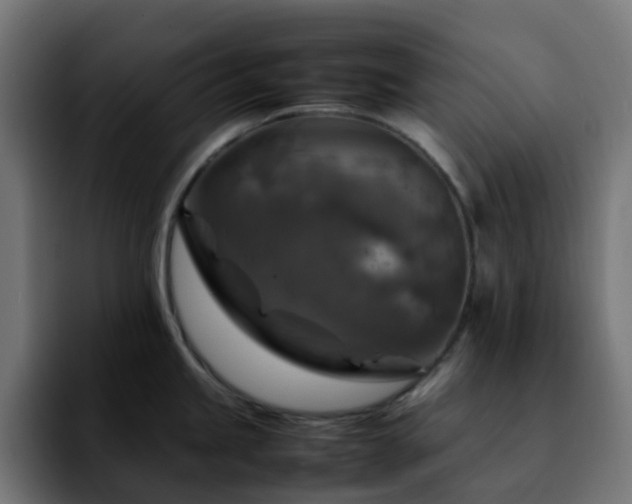 X0000092281245200709211150