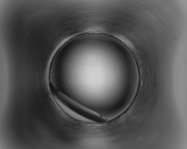 X0000092281248200709211150