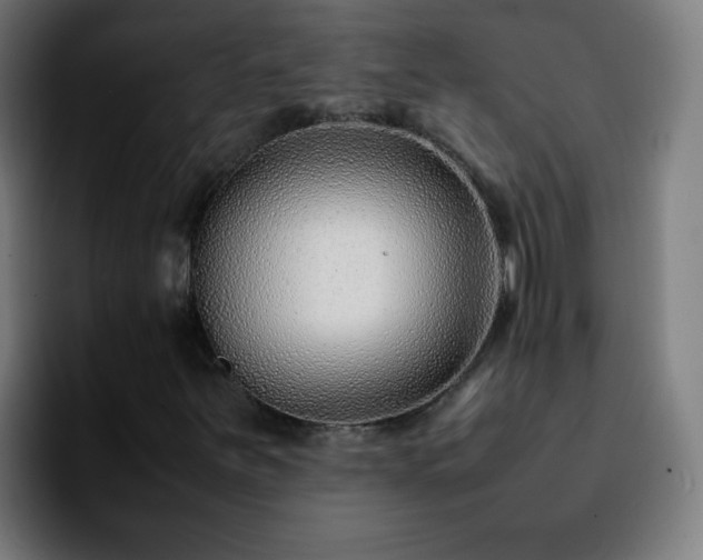 X0000092281251200709211149