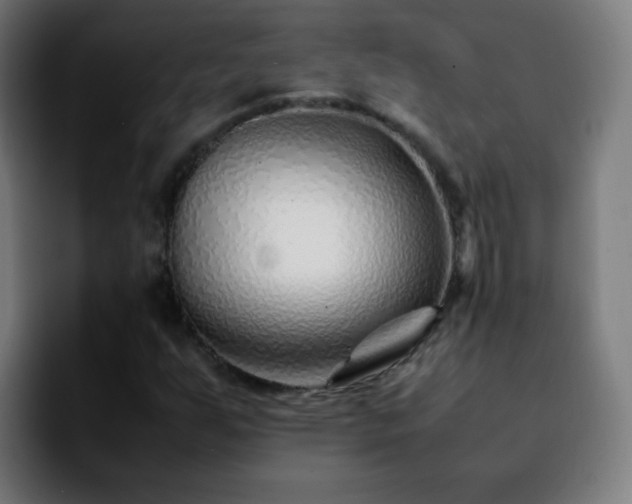 X0000092281255200709211149