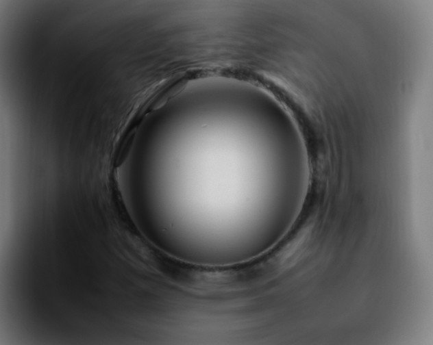 X0000092281257200709211149