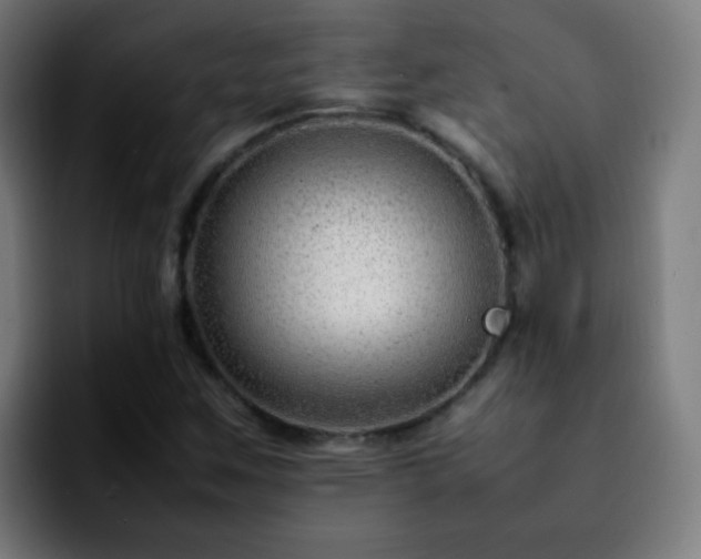 X0000092281259200709211149