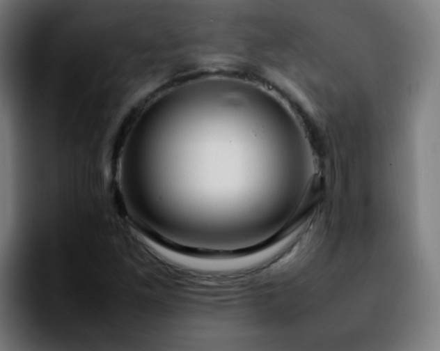 X0000092281261200709211149