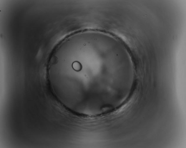 X0000092281263200709211149